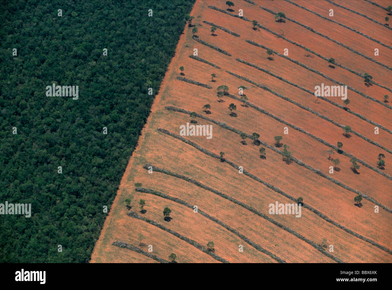 Aerial view of tropical deforestation Mato Grosso do Sul Pantanal Brazil Stock Photo