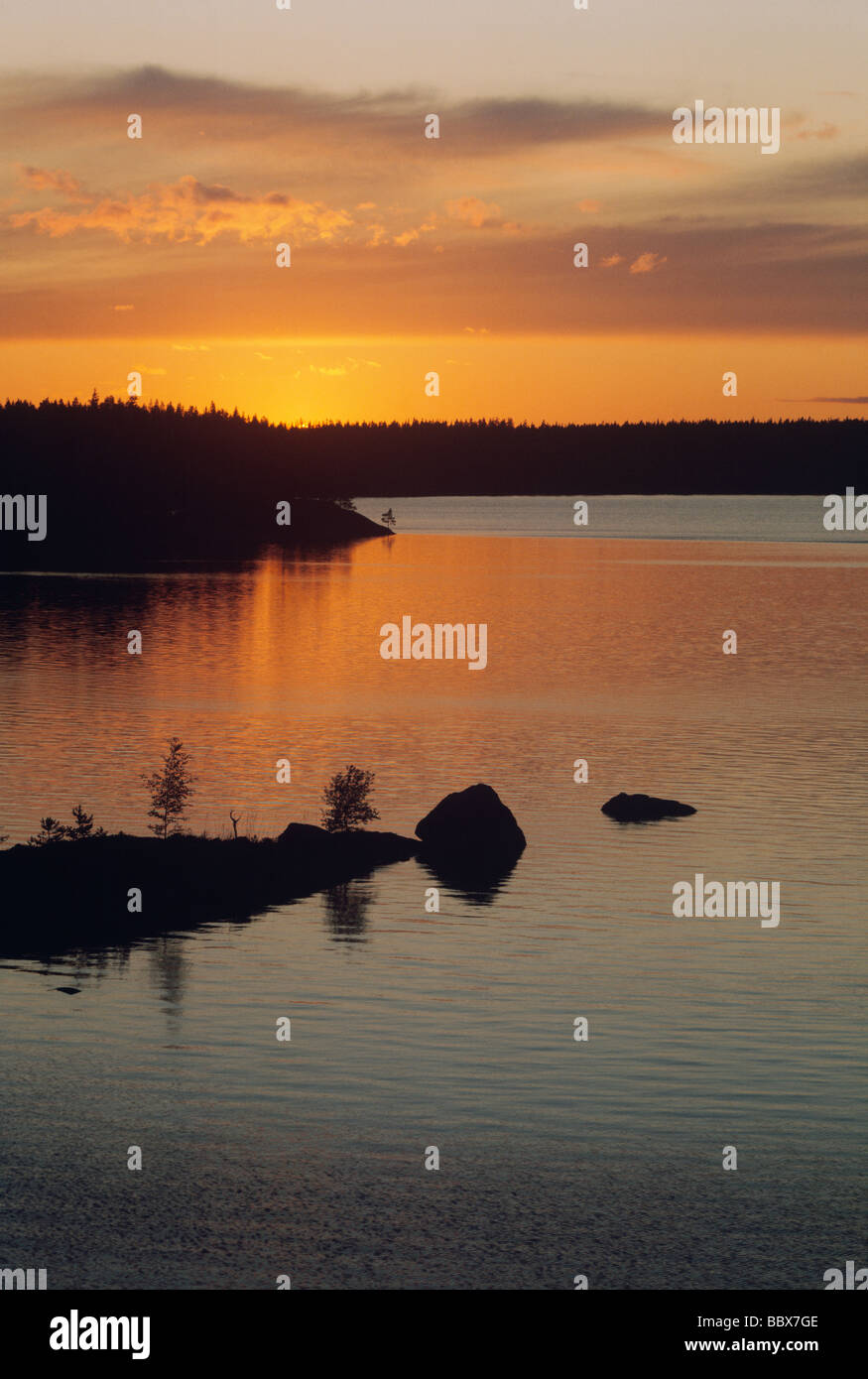 Silhouette of trees by lake at dusk Stock Photo - Alamy
