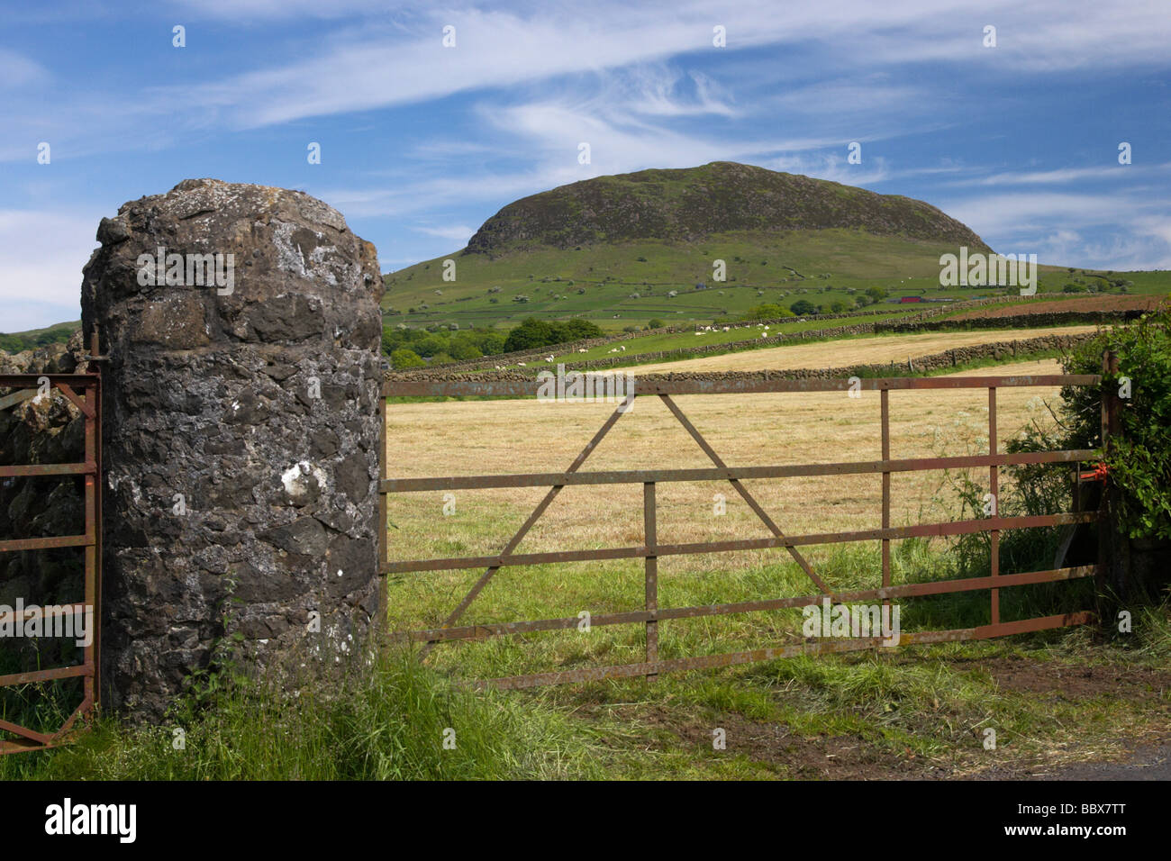 traditional pillar and field entrance gate below slemish mountain county antrim northern ireland Stock Photo