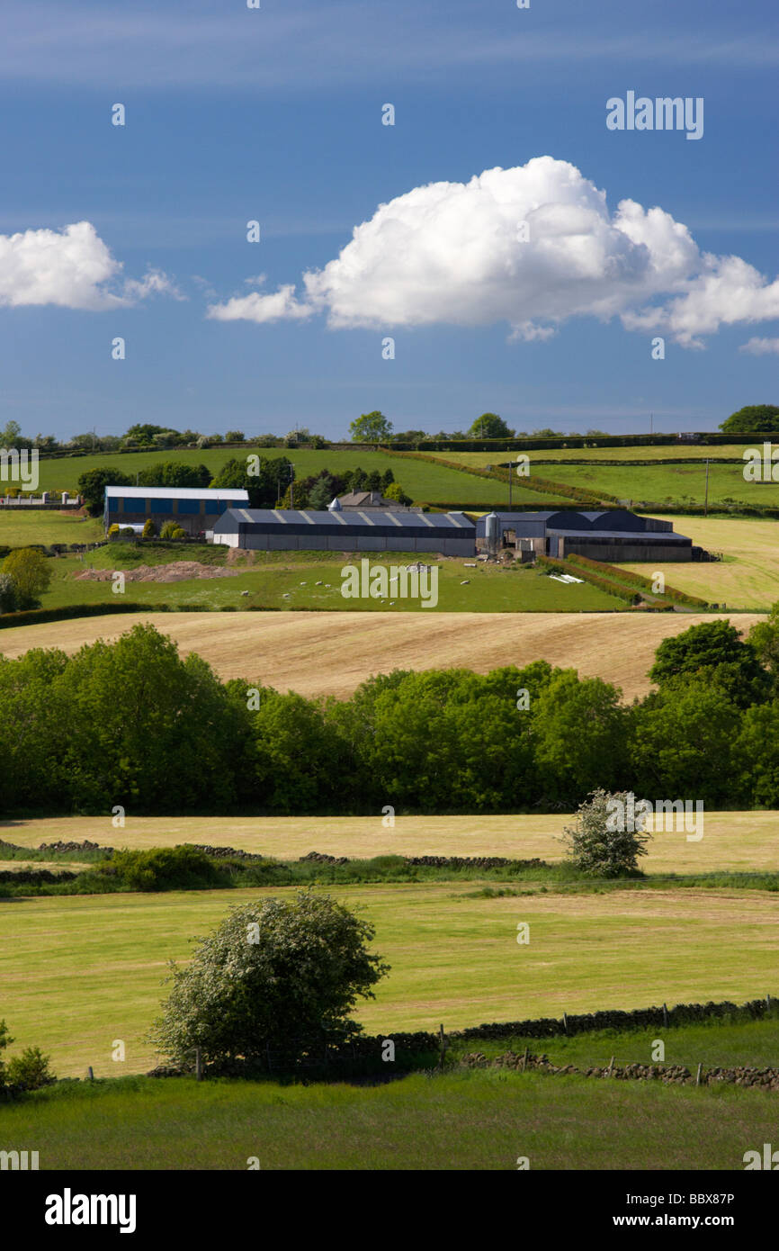 farm buildings on hilly farmland in county antrim northern ireland uk Stock Photo