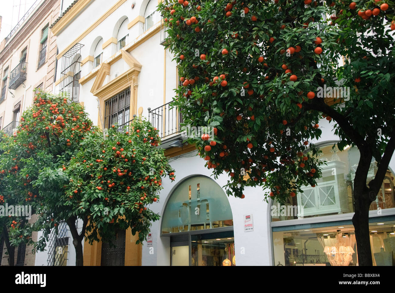 Sevilla shopping hires stock photography and images Alamy