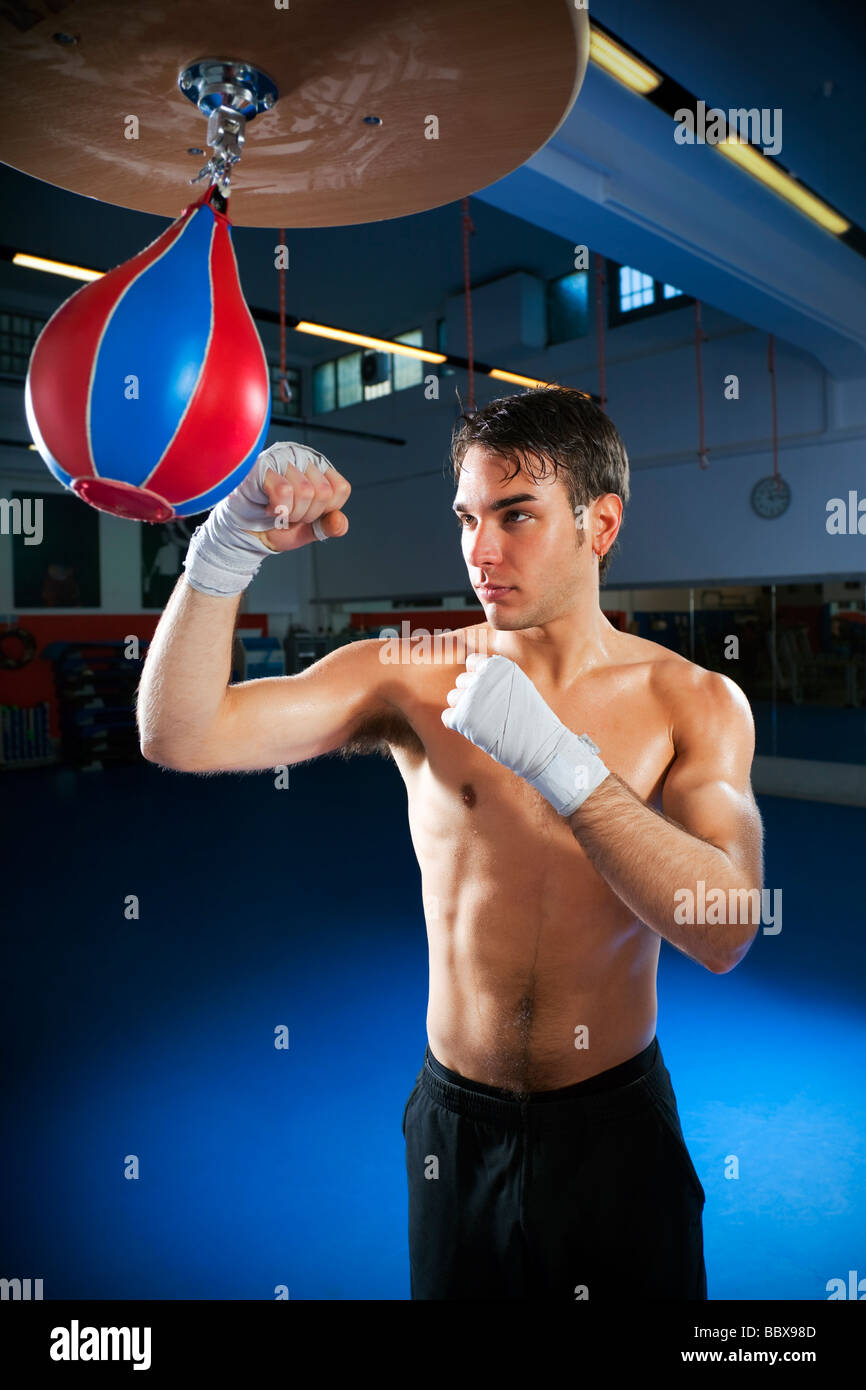 young adult man hitting speed bag in gym Copy space Stock Photo Alamy