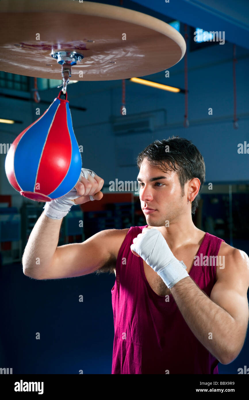 young adult man hitting speed bag in gym Copy space Stock Photo Alamy