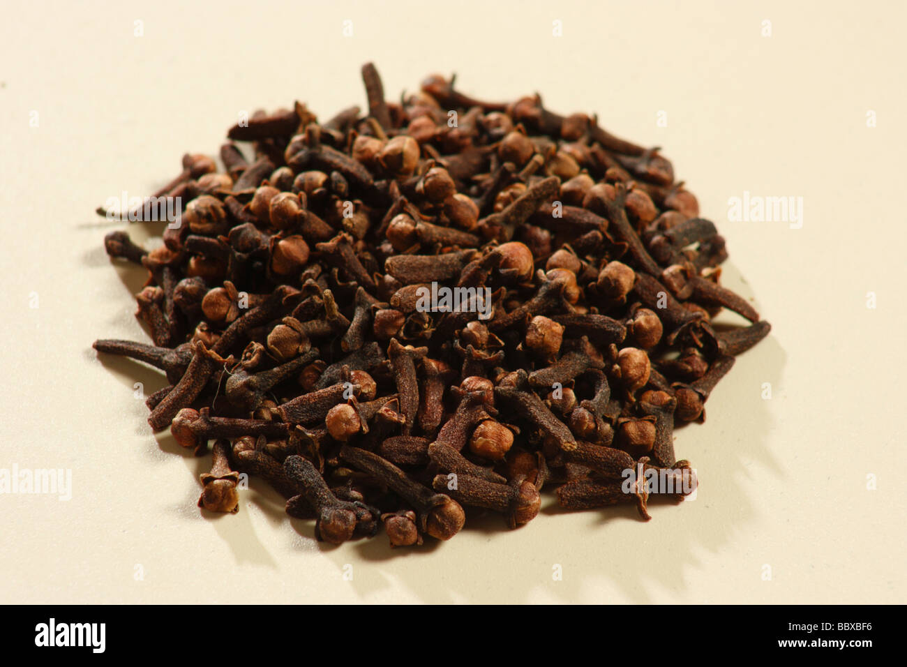 Cloves are the aromatic dried flower buds of a tree from Indonesia and ...