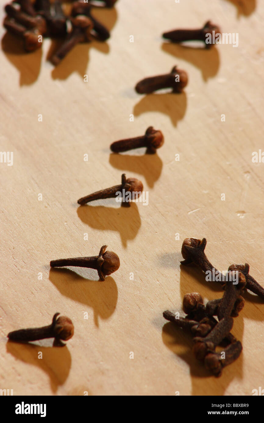 Cloves are the aromatic dried flower buds of a tree from Indonesia and