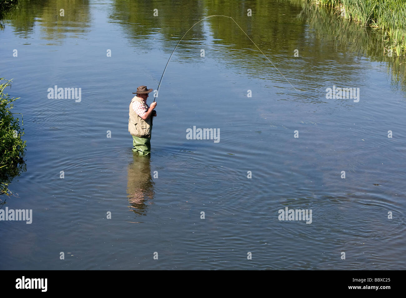 Fly fisherman catching trout in river Stock Photo