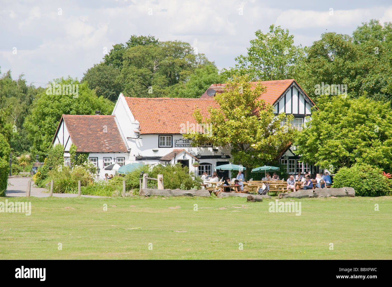 A view across a village green towards The Cricketers Pub in Downside Common, Surrey, England Stock Photo