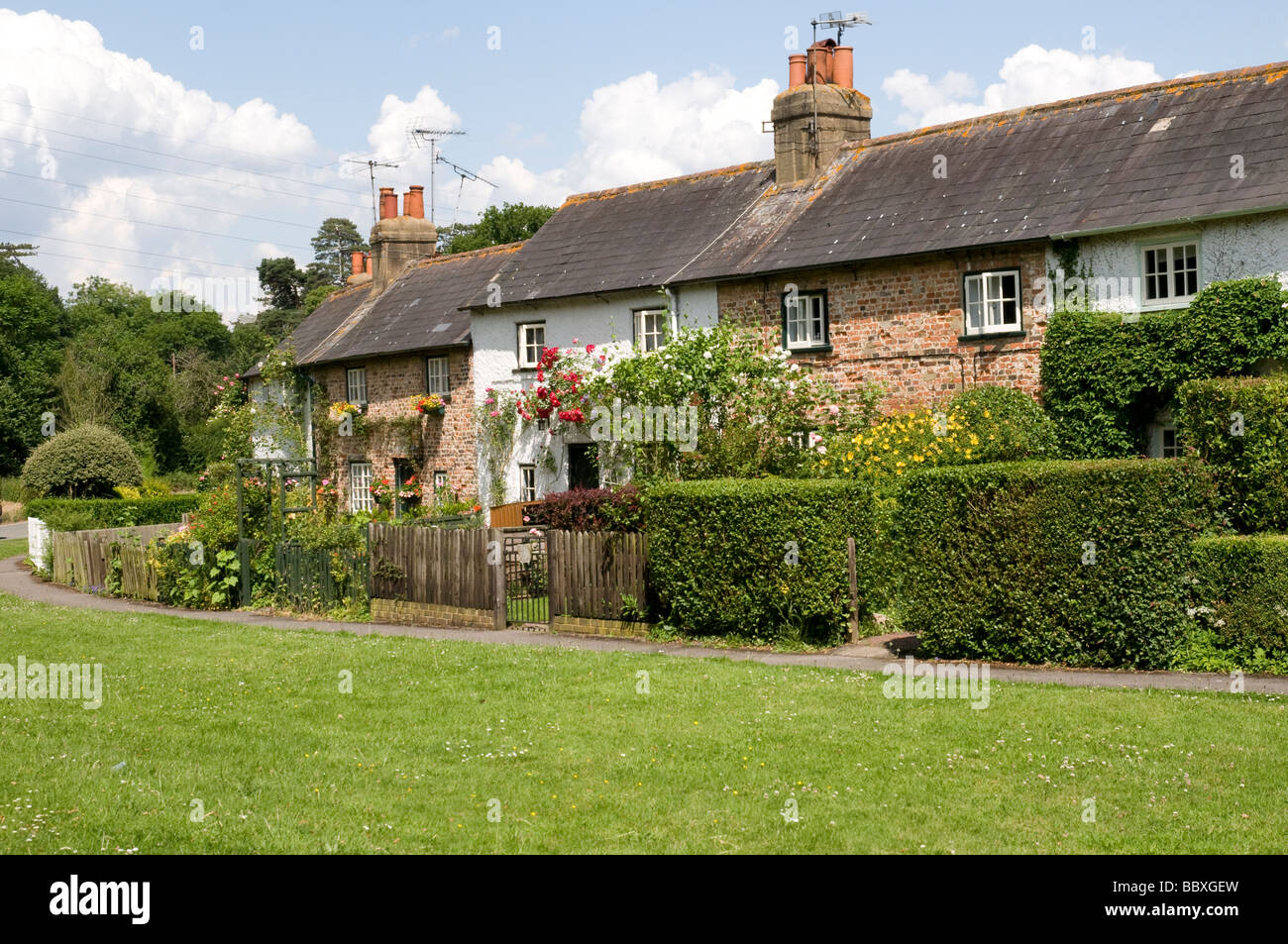 Downside Surrey High Resolution Stock Photography and Images Alamy