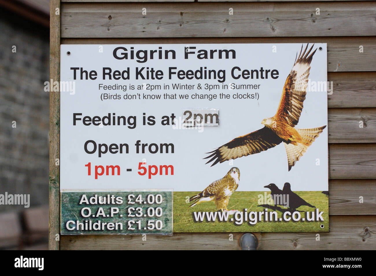 Red Kite Milvus milvus Sign for feeding station Photographed in Wales Stock Photo