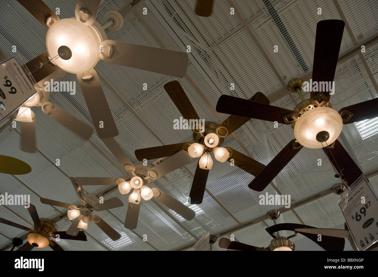 Ceiling Fans And Lights Hanging From Ceiling Of Lowe S Home Stock