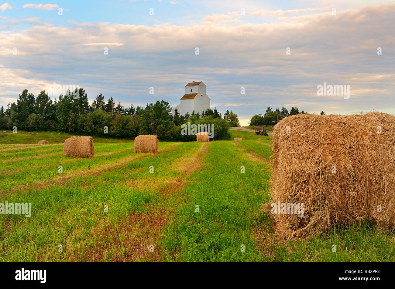 Alberta grain farm Stock Photo