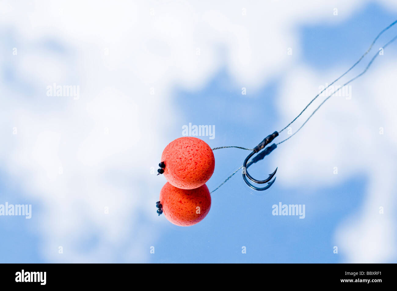 Baiting hook hires stock photography and images Alamy