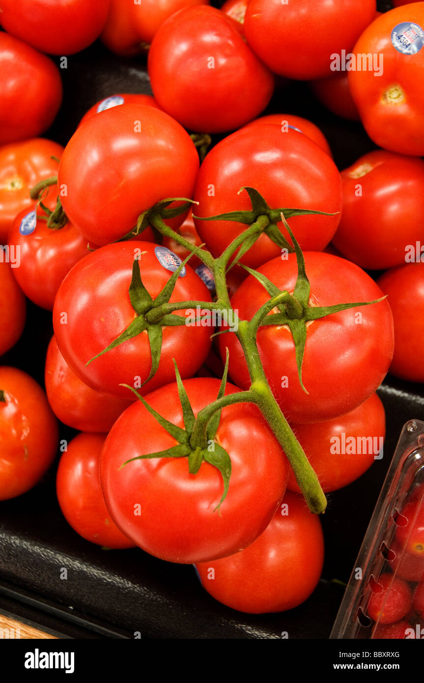 tomatoes for sale in supermarket, Florida Stock Photo