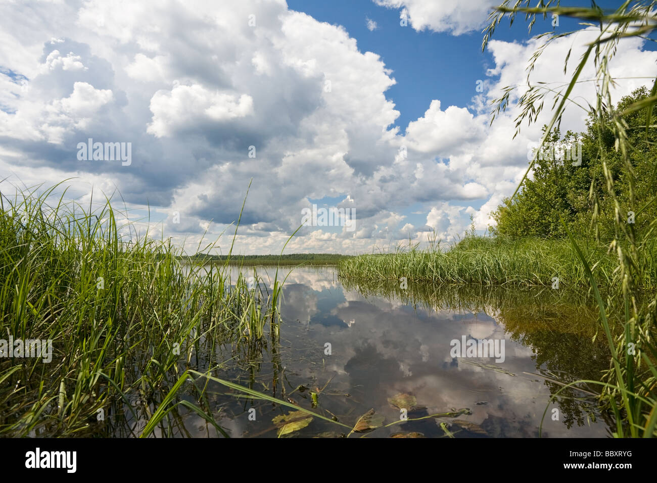 Cloudy sky reflected in the water hi-res stock photography and images ...