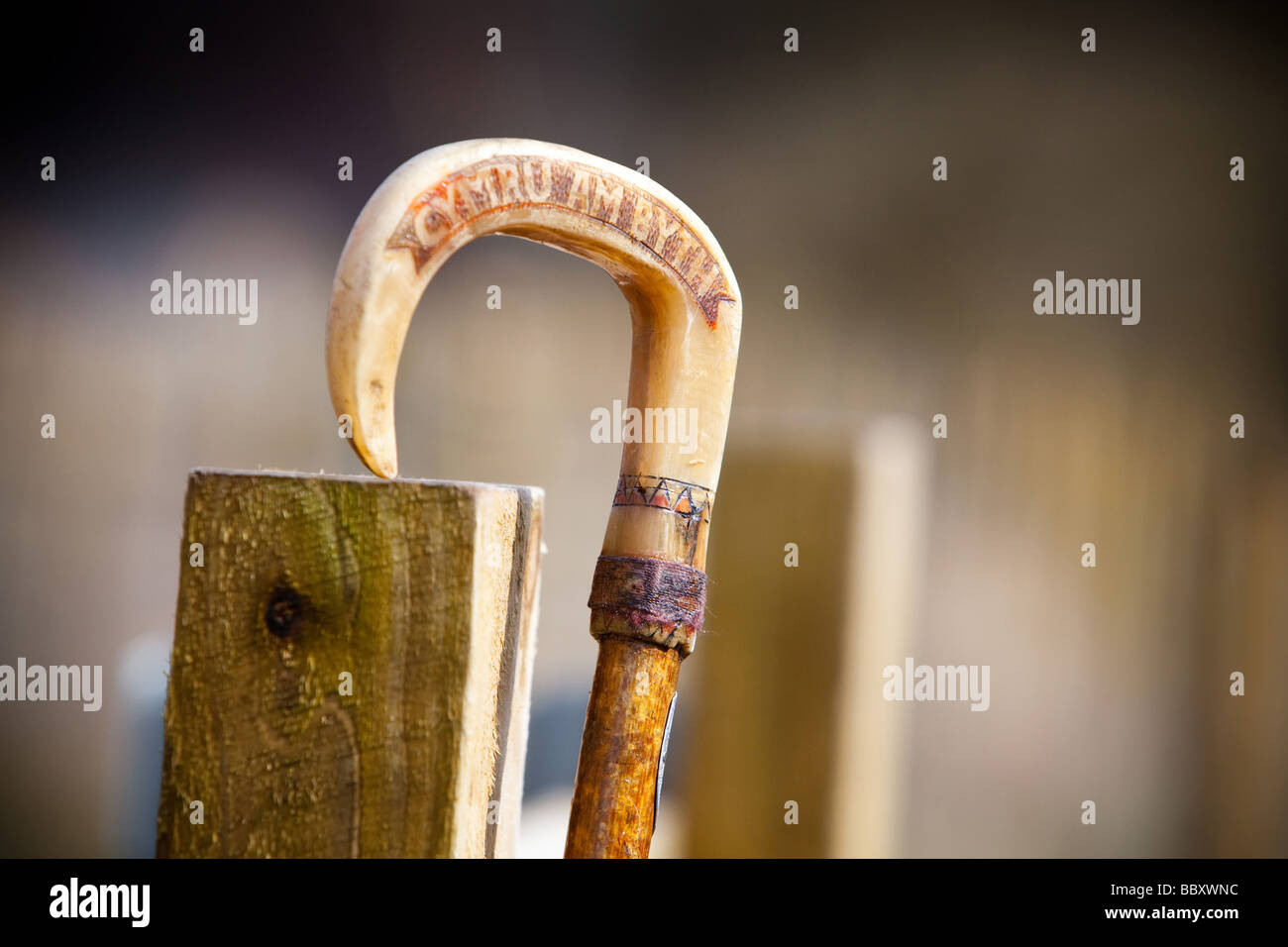 Carving on Walking Stick handle Cymru am Byth Long live Wales UK Stock Photo