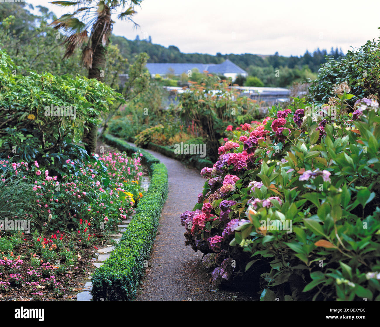 Over 2500 species of plants flourish at Inverewe Gardens NW Highlands