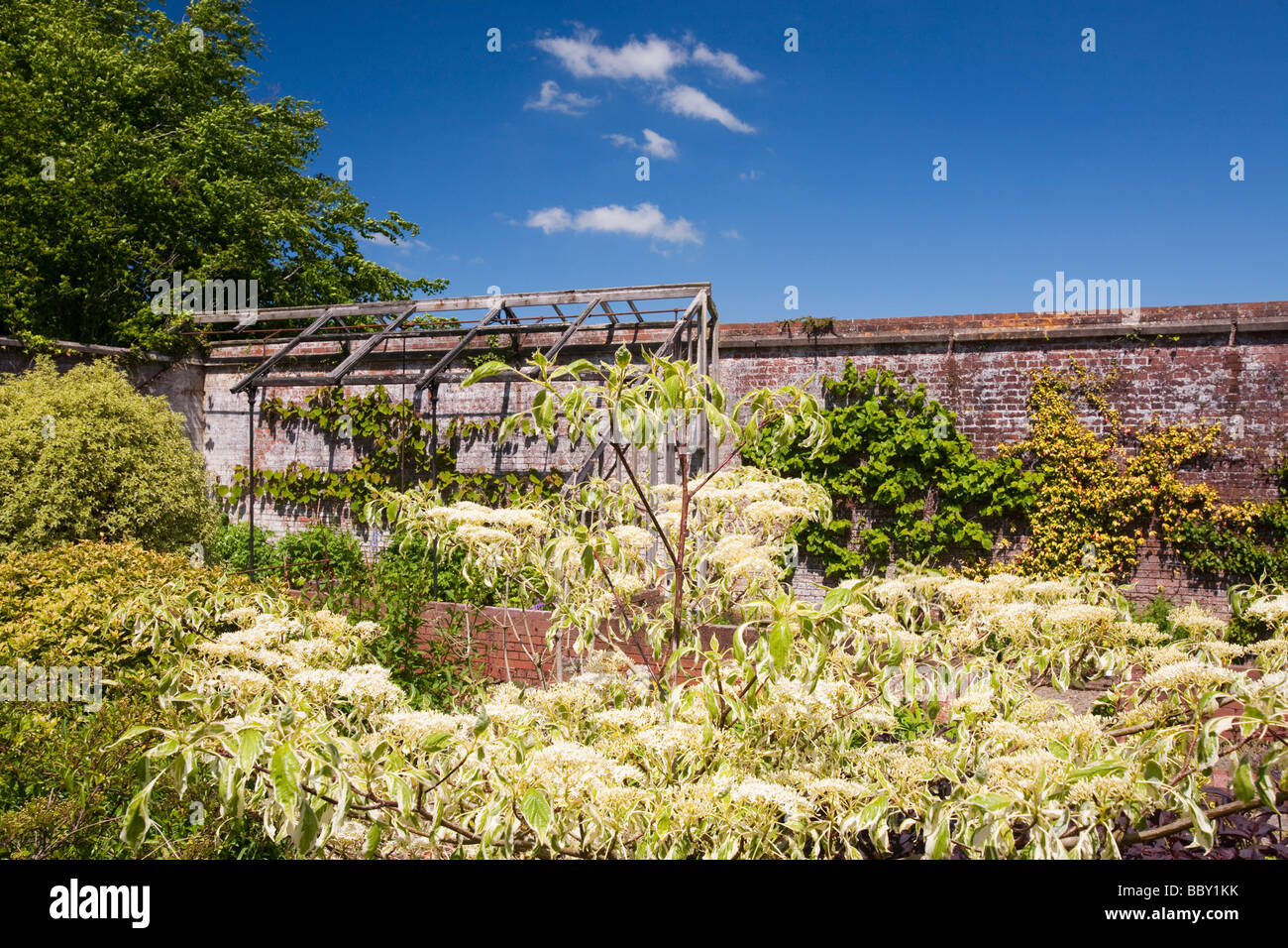 Winsford walled garden in Devon UK A restored victorian walled garden
