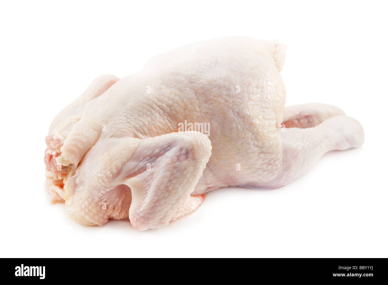 chicken isolated on the white background Stock Photo