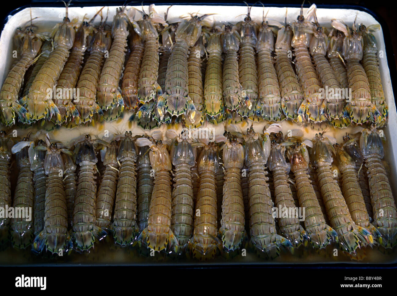 langoustine, lobster, seafood vendor, openair market, market
