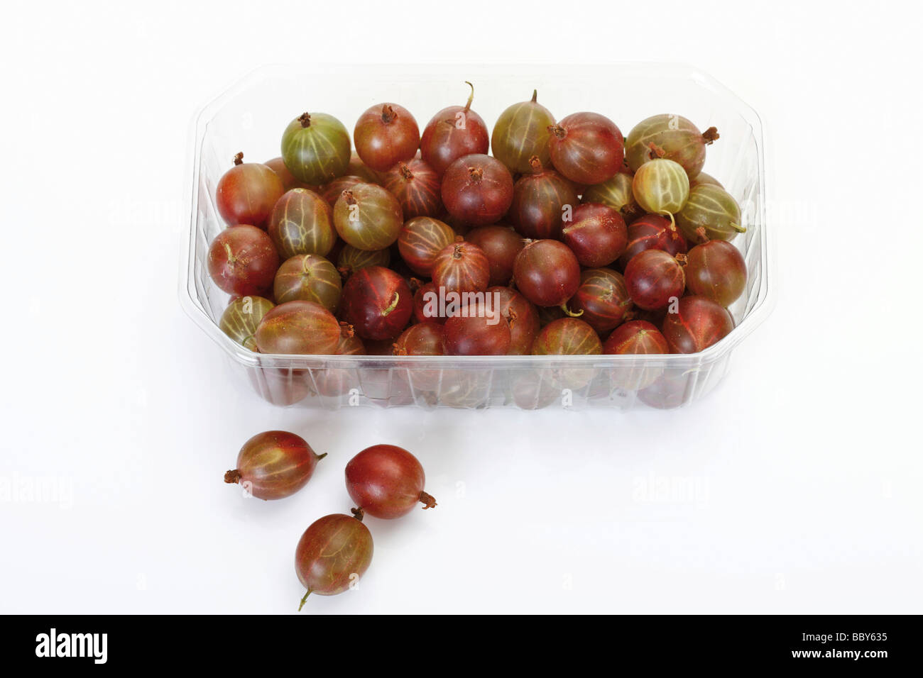 Red gooseberries in a plastic box Stock Photo