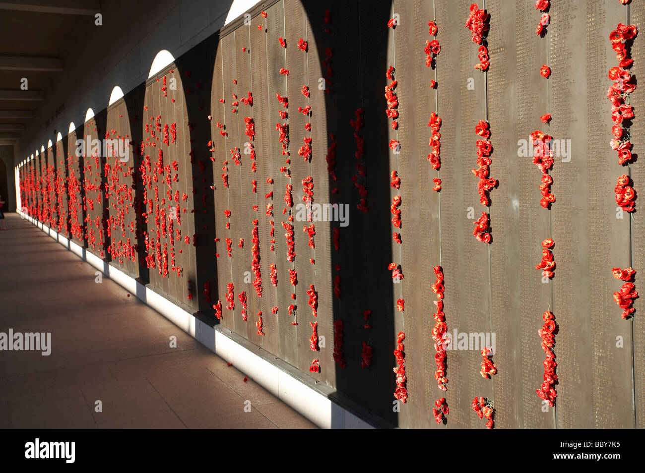 Poppies in Roll of Honour Australian War Memorial Canberra ACT Australia Stock Photo