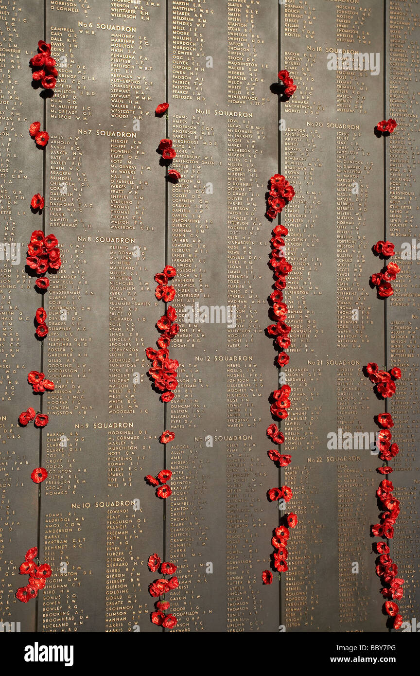 Poppies in Roll of Honour Australian War Memorial Canberra ACT Australia Stock Photo