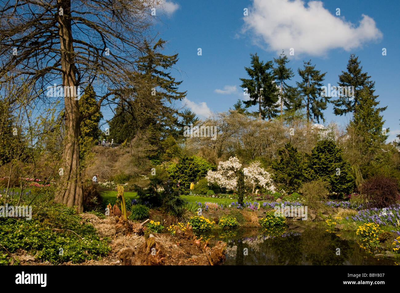 Queen Elizabeth Park Vancouver Stock Photo