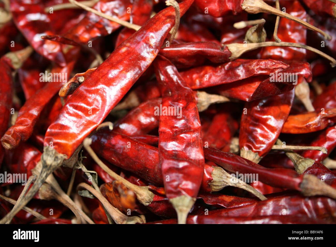 Miracatu hi-res stock photography and images - Alamy