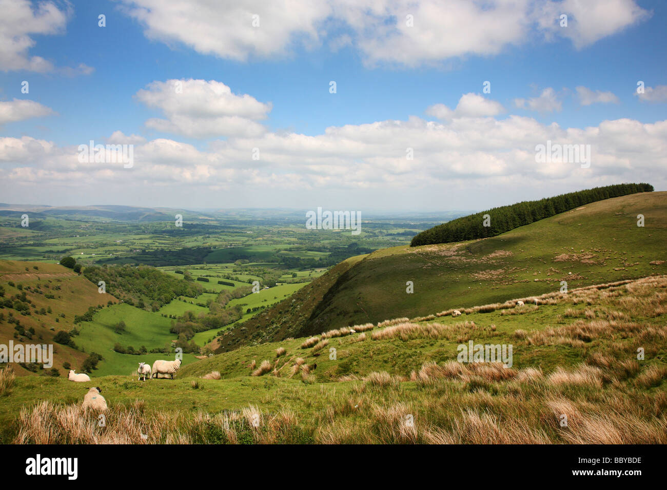 View of the Mid-Wales countryside from viewpoint on Garth Hill near the town of Builth Wells Stock Photo