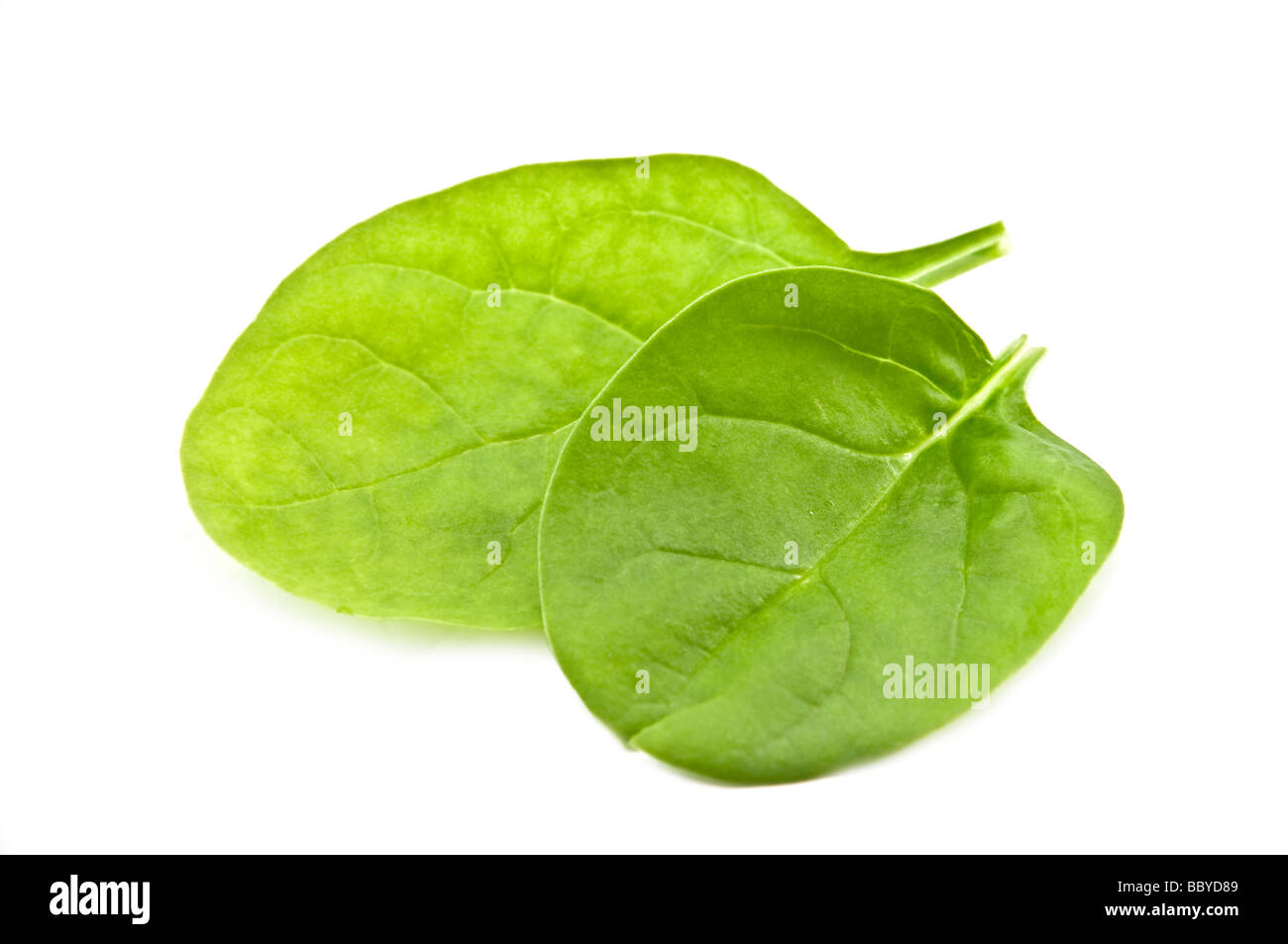spinach isolated on the white background Stock Photo - Alamy