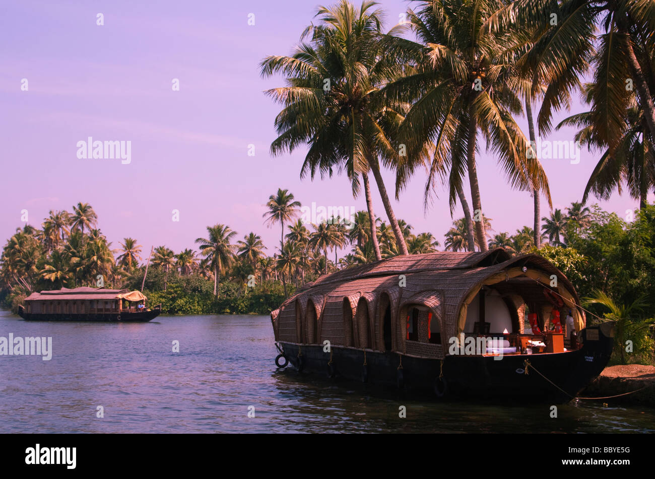 India Kerala Cochin Kochi Backwaters houseboats and palm trees mood