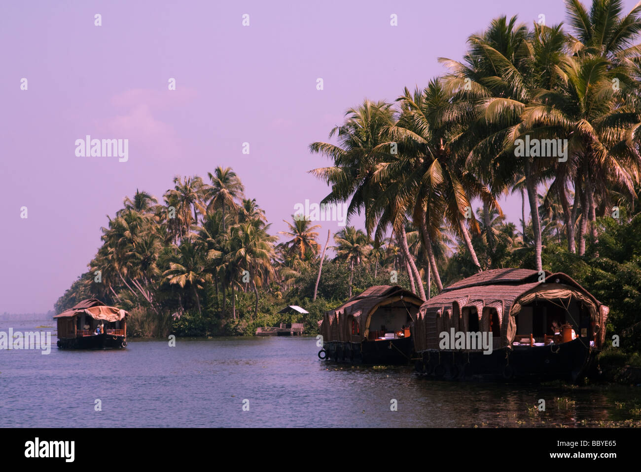 India Kerala Cochin Kochi Backwaters houseboats and palm trees mood
