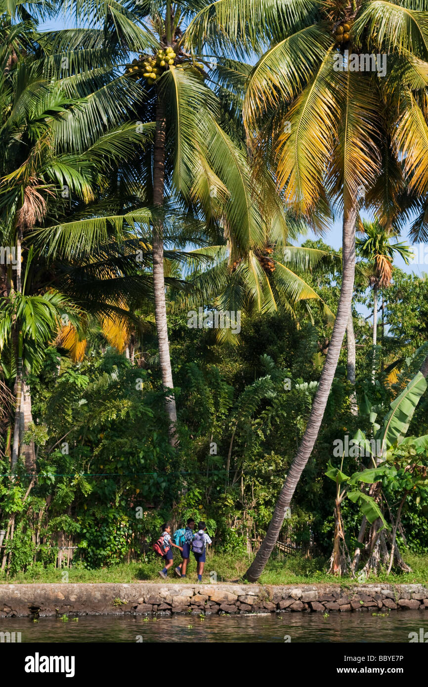 India Kerala Cochin Kochi Backwaters schoolboys and palm trees mood