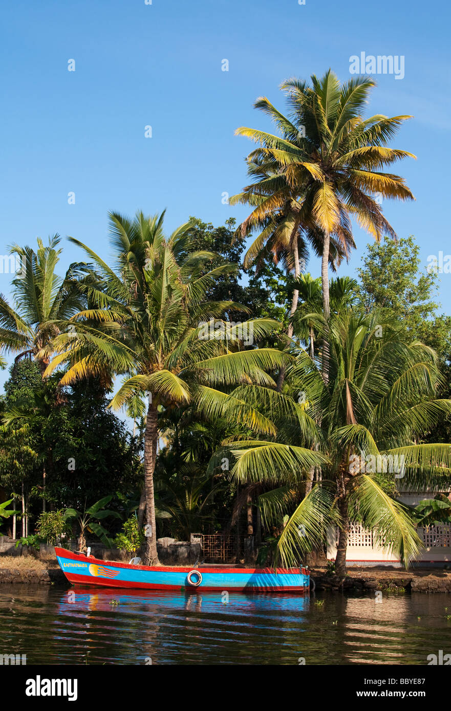 India Kerala Cochin Kochi Backwaters boat and palm trees mood