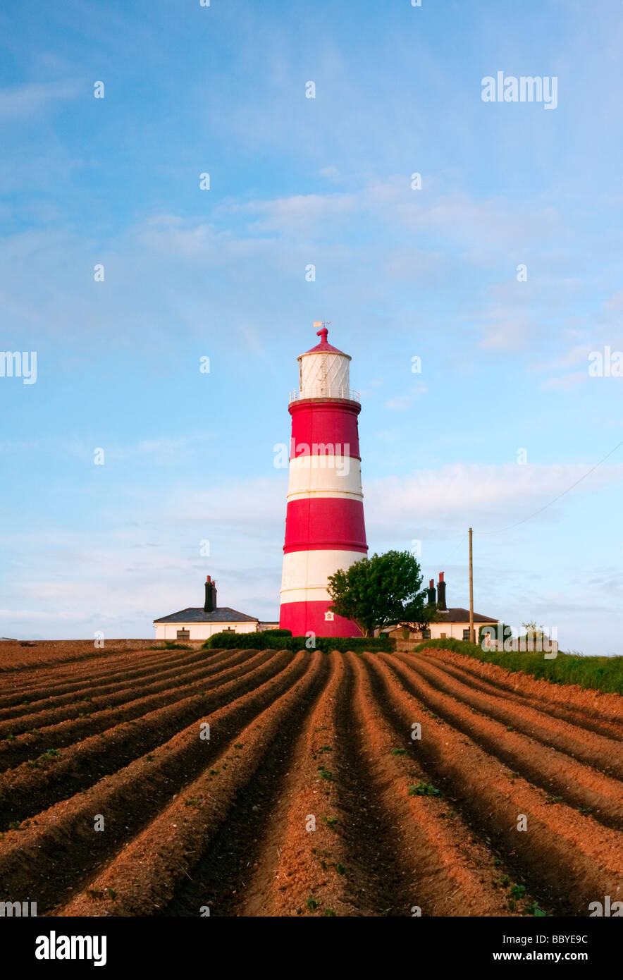 Ploughed Furrows & potatoes leading up to Happisburgh Lighthouse on the Norfolk Coast Stock Photo