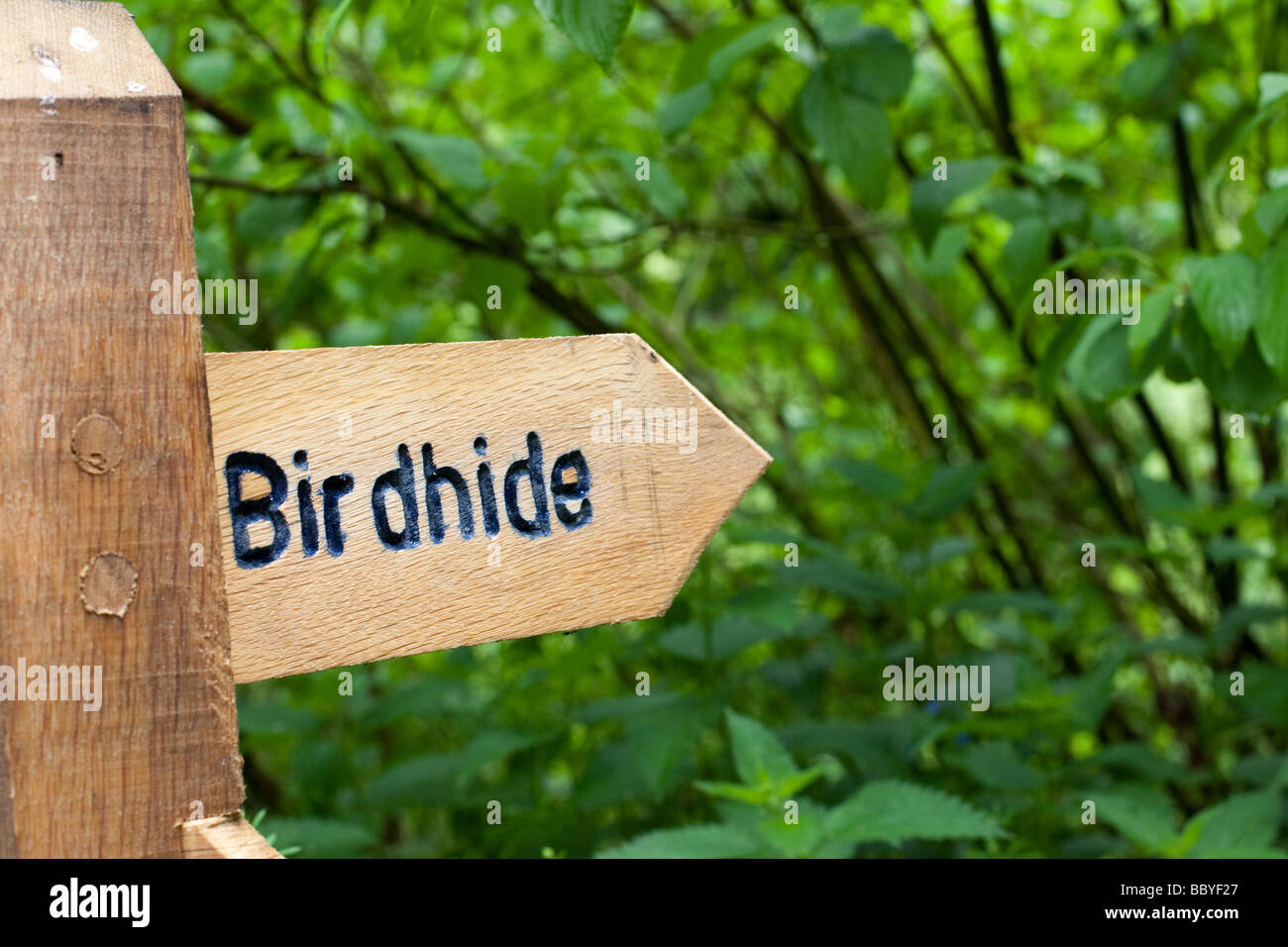 Sign pointing to bird hide Stock Photo