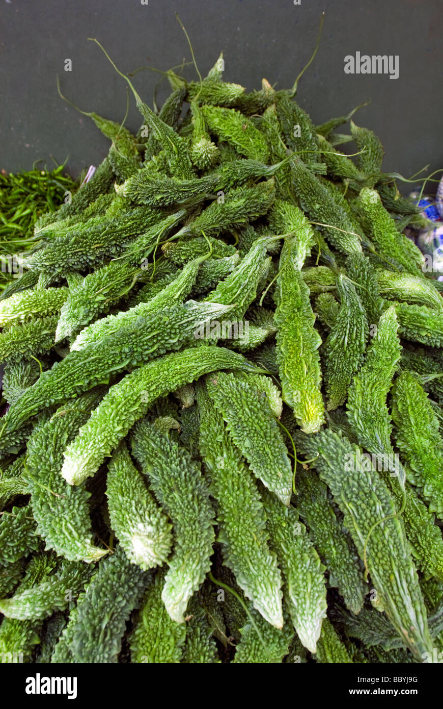 Indian karela is seen for sale in a grocery store in the Little India neighborhood in Jackson Heights Queens in New York Stock Photo