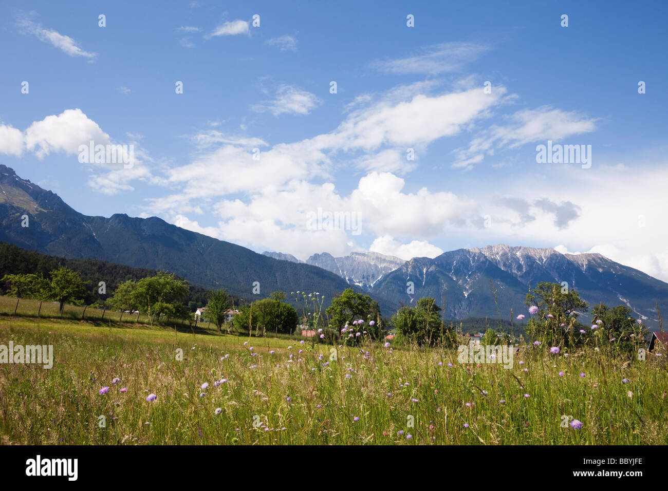 Imst Tyrol Austria Europe June Summer Alpine flower meadow in green valley with mountains beyond Stock Photo
