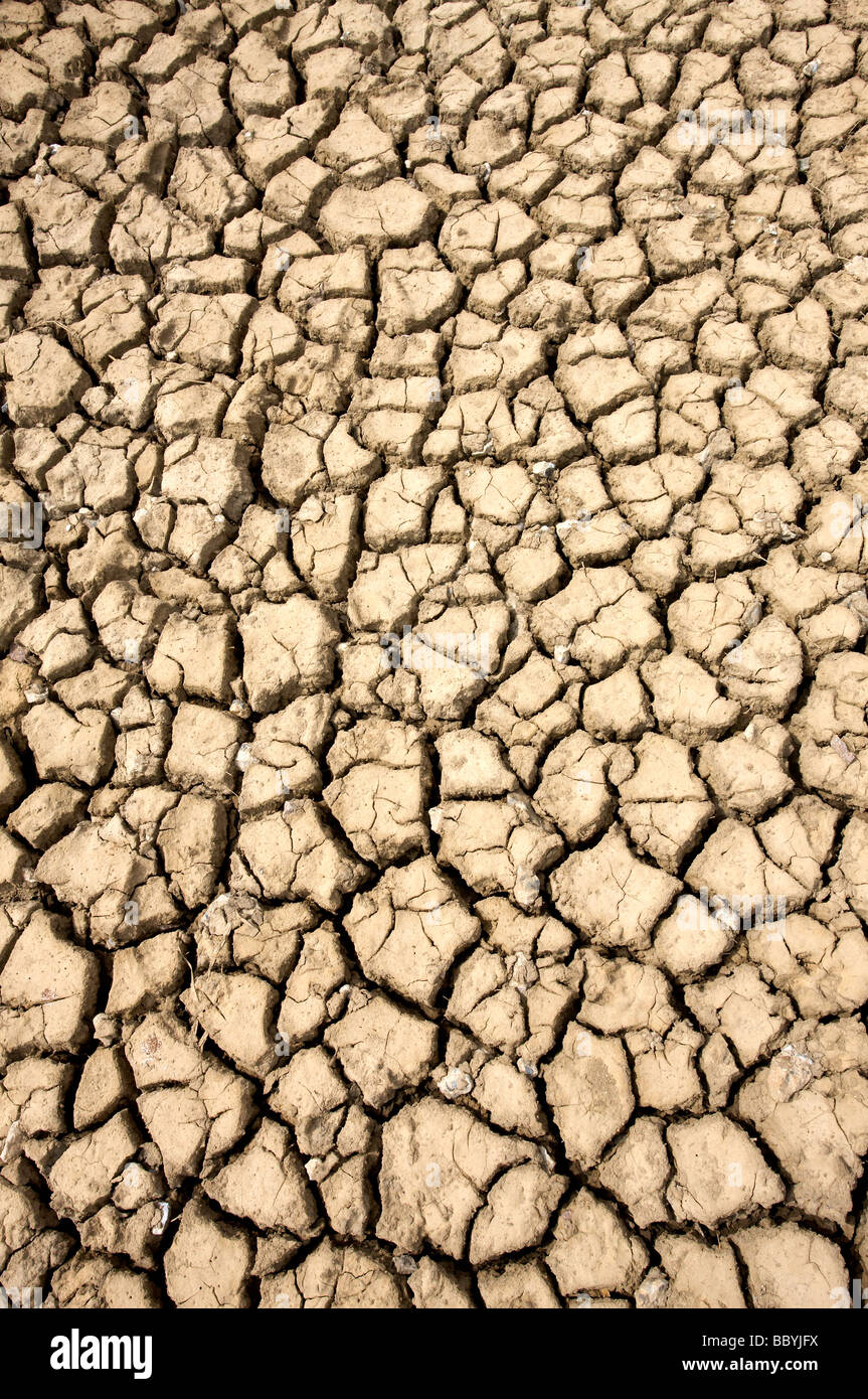 Parched mud Stock Photo