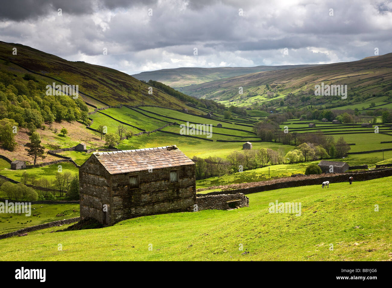 Stone Barns Upper Swaledale near Thwaite, Swaledale, Yorkshire Dales ...