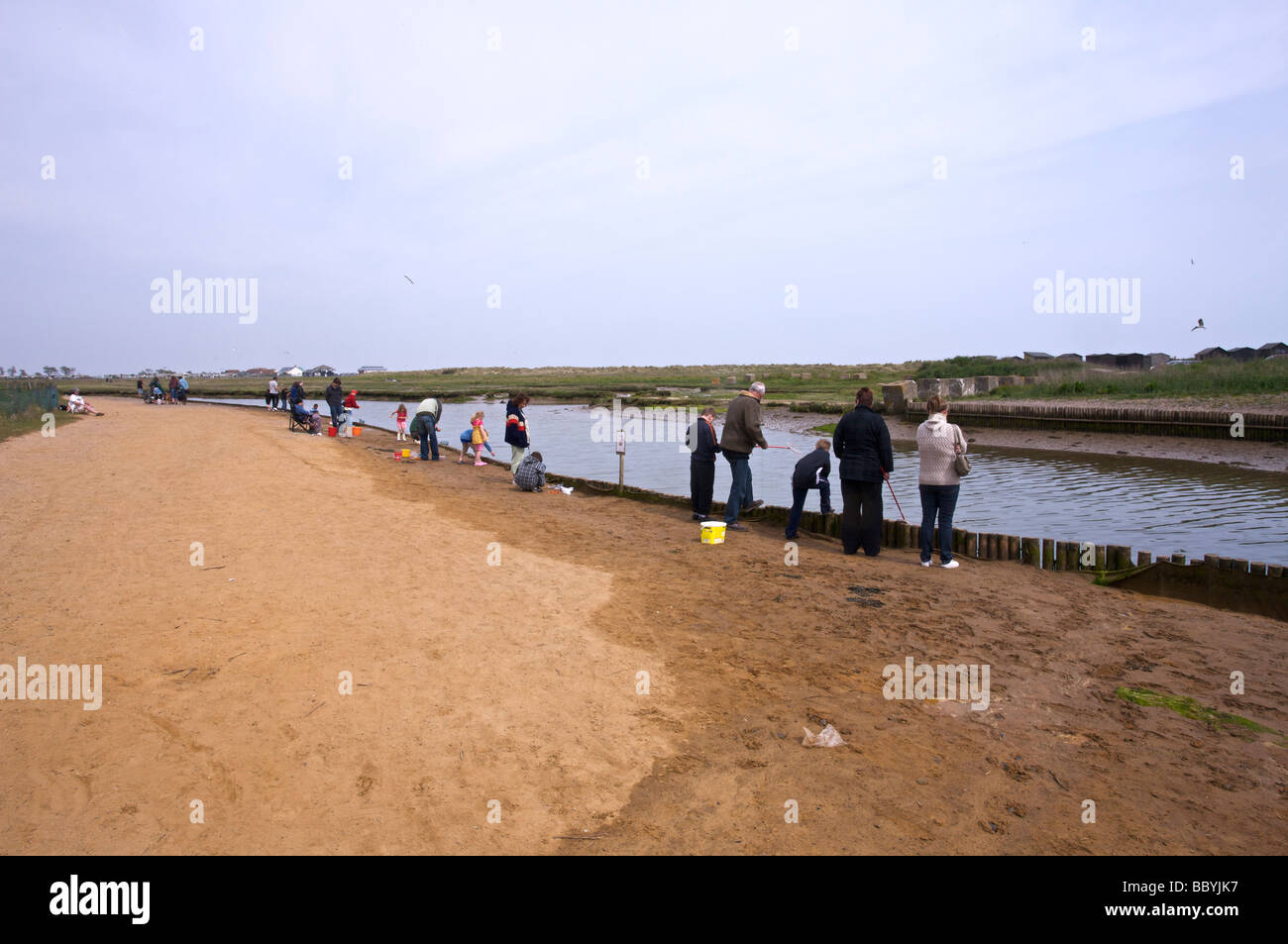 Crabbing at Walberswick Suffolk Stock Photo Alamy