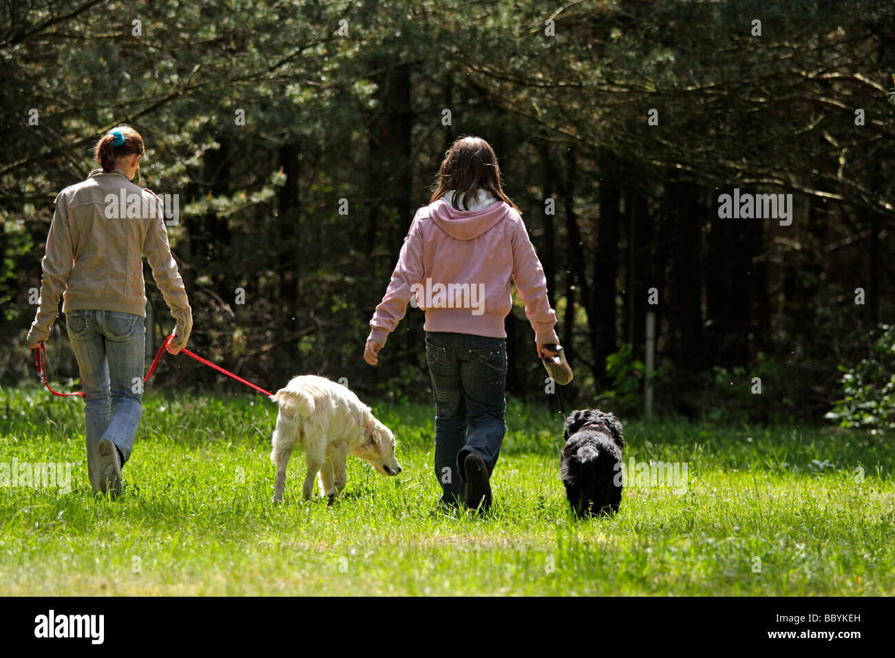 two young girls walking their dogs Stock Photo