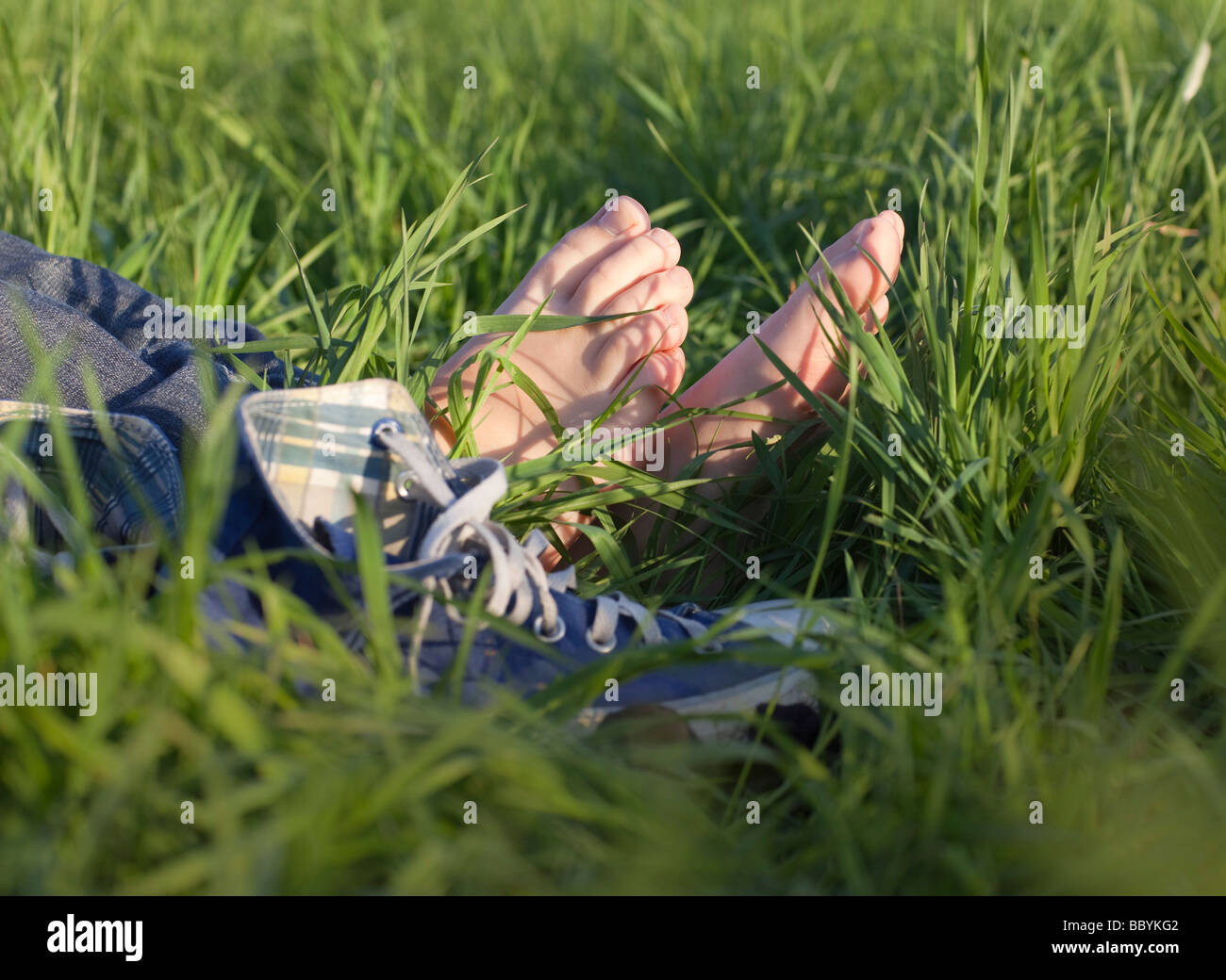 enature net Enature hi-res stock photography and images - Alamy