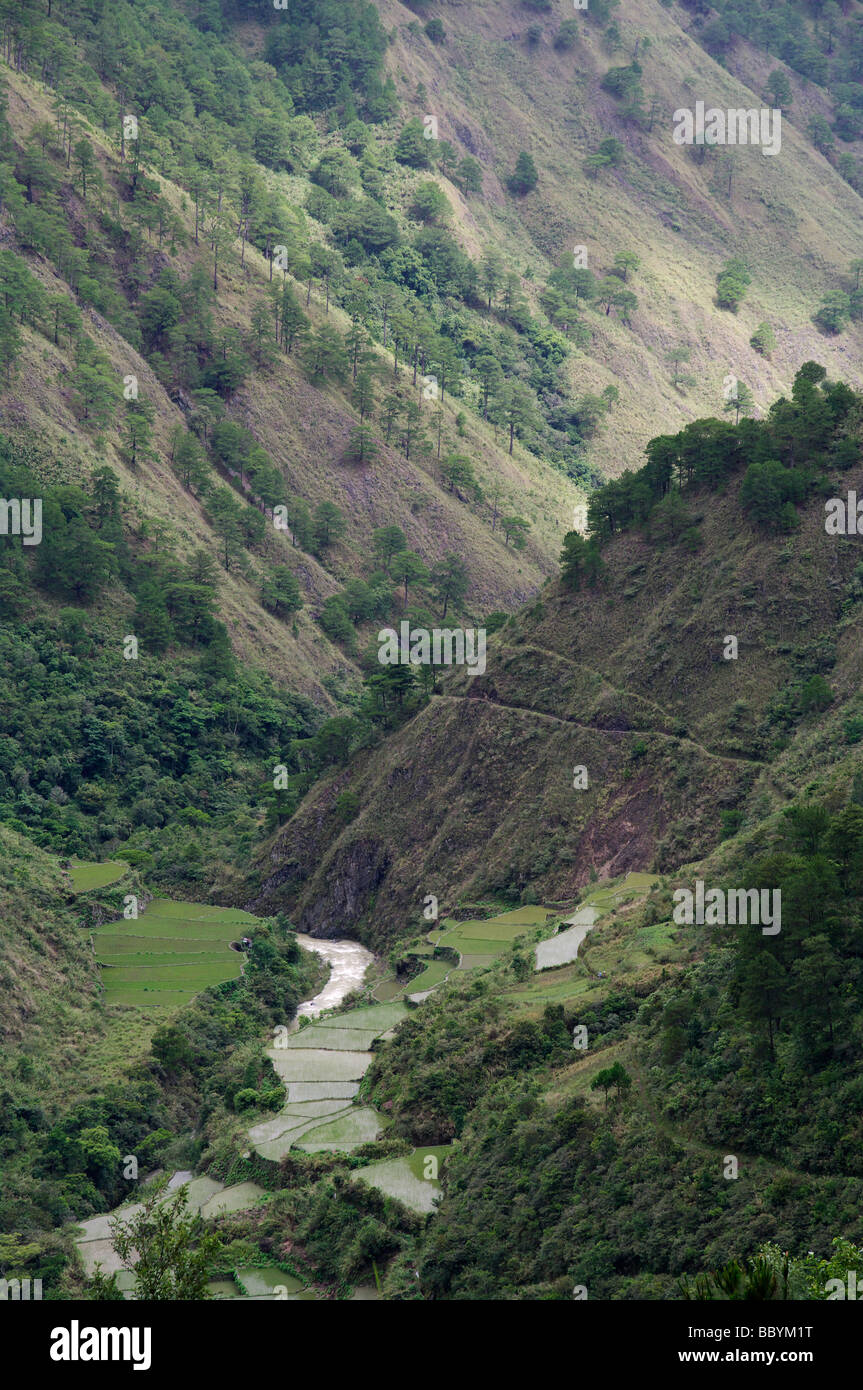 Mountainside & rice terraces near Bontoc, Mountain Province, North Luzon, Philippines Stock Photo