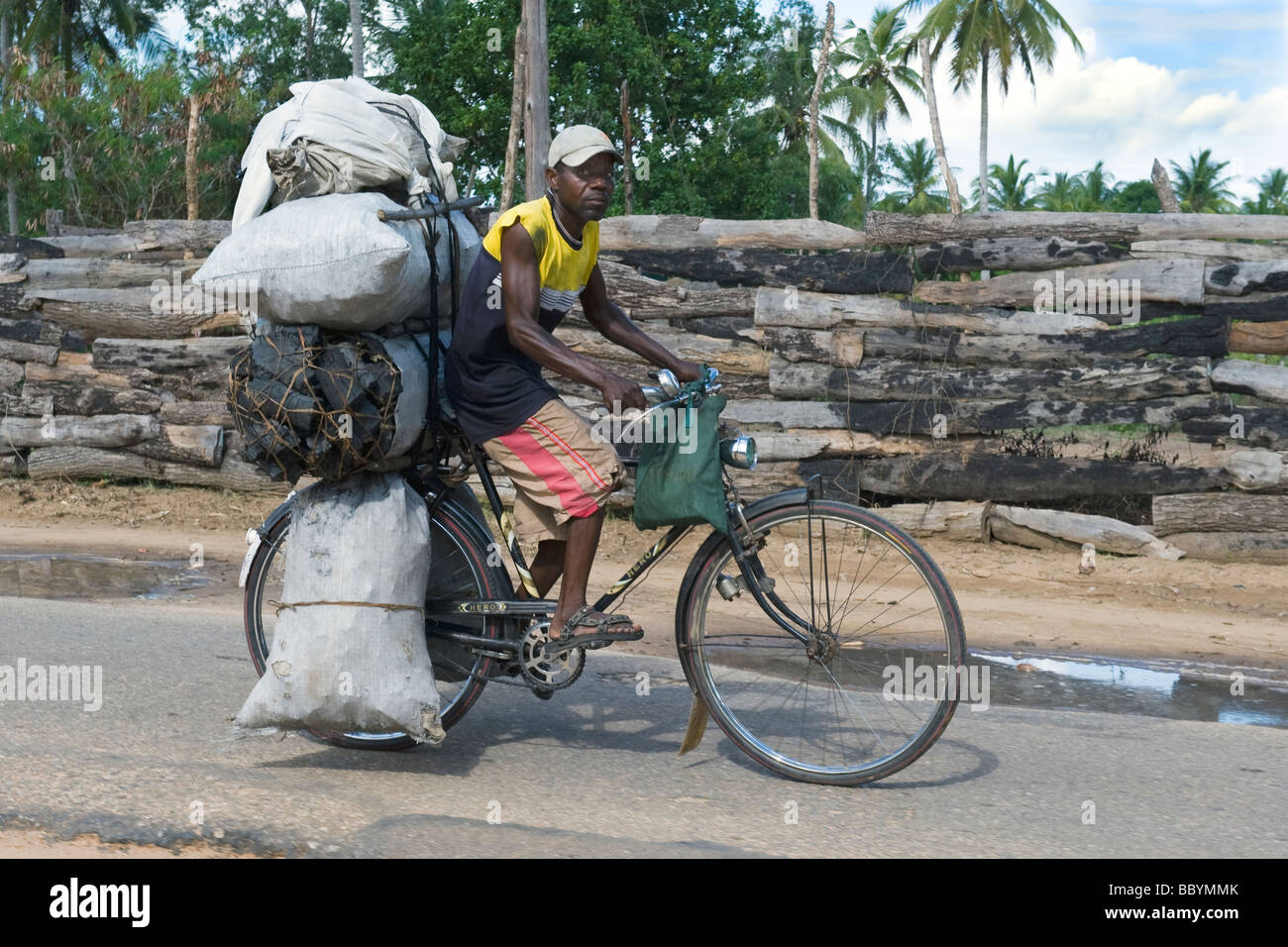 bicycle carrying bags