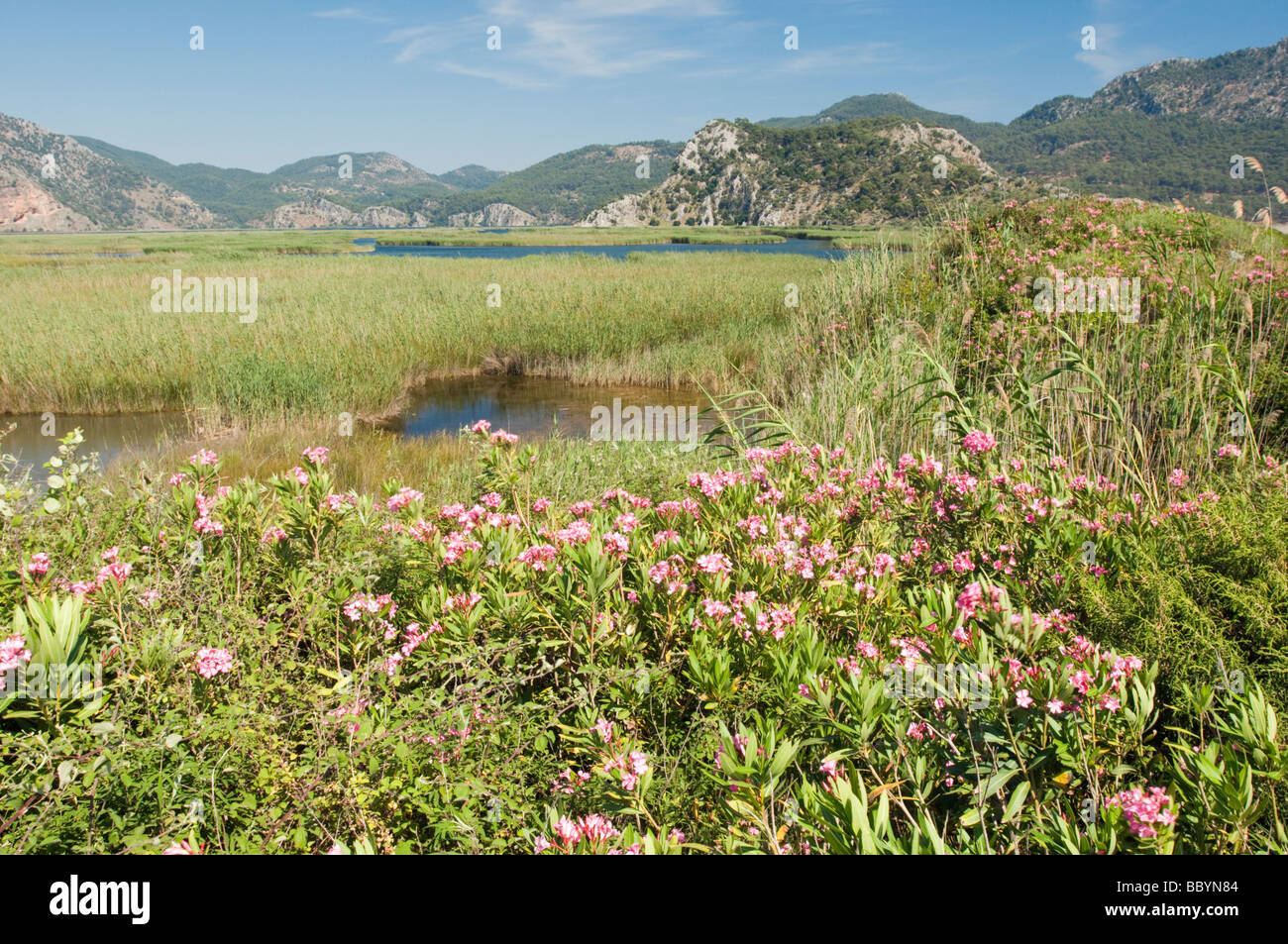 Dalyan wetland Fethiye Turkey Stock Photo