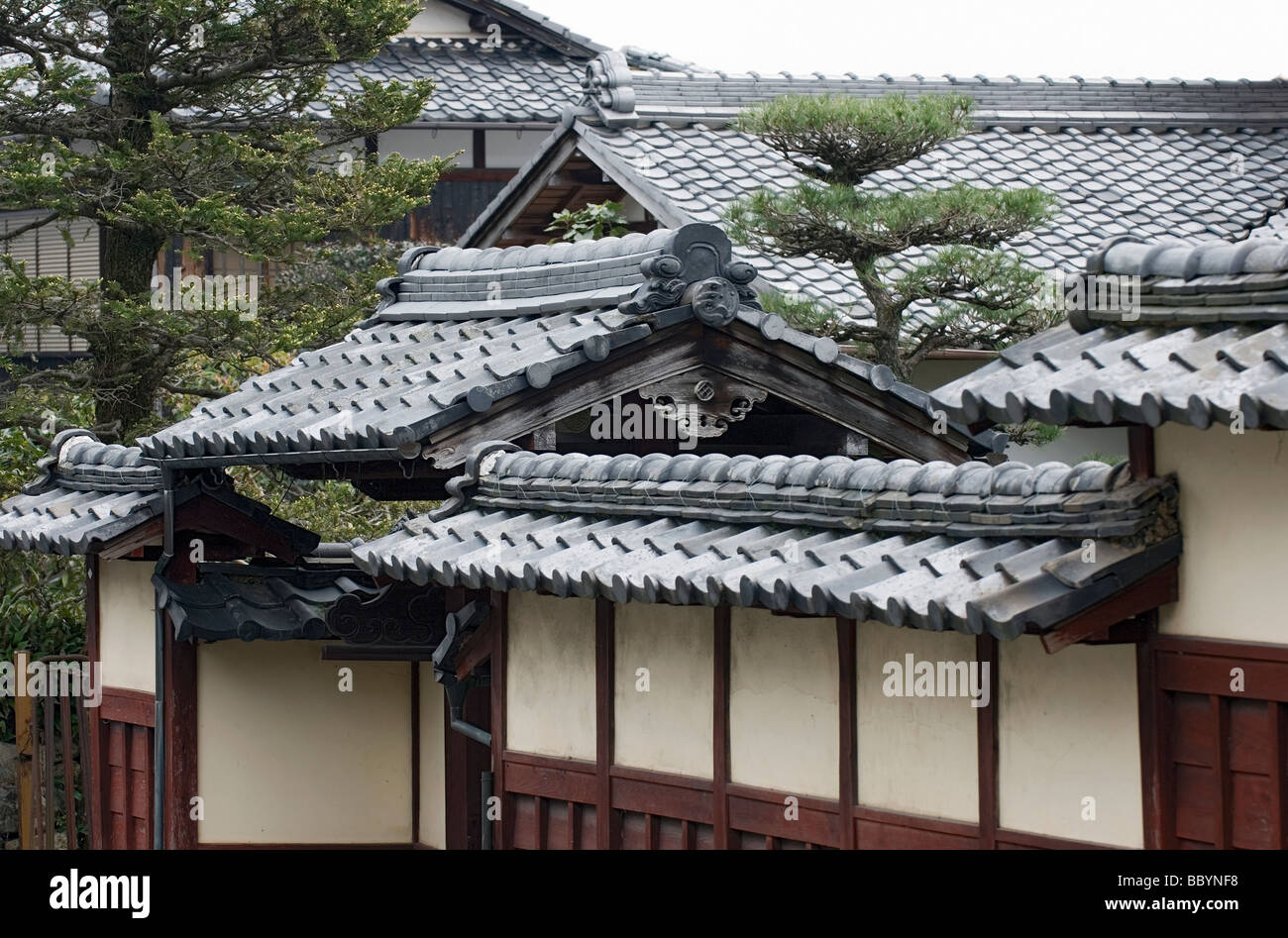 An upscale single family Japanese residence with entry gate multiple roof lines traditional detailing and pine tree in garden Stock Photo