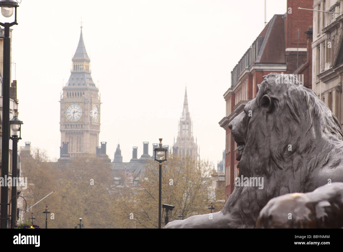TRAFALGAR SQUARE,big ben,london,uk,england Stock Photo