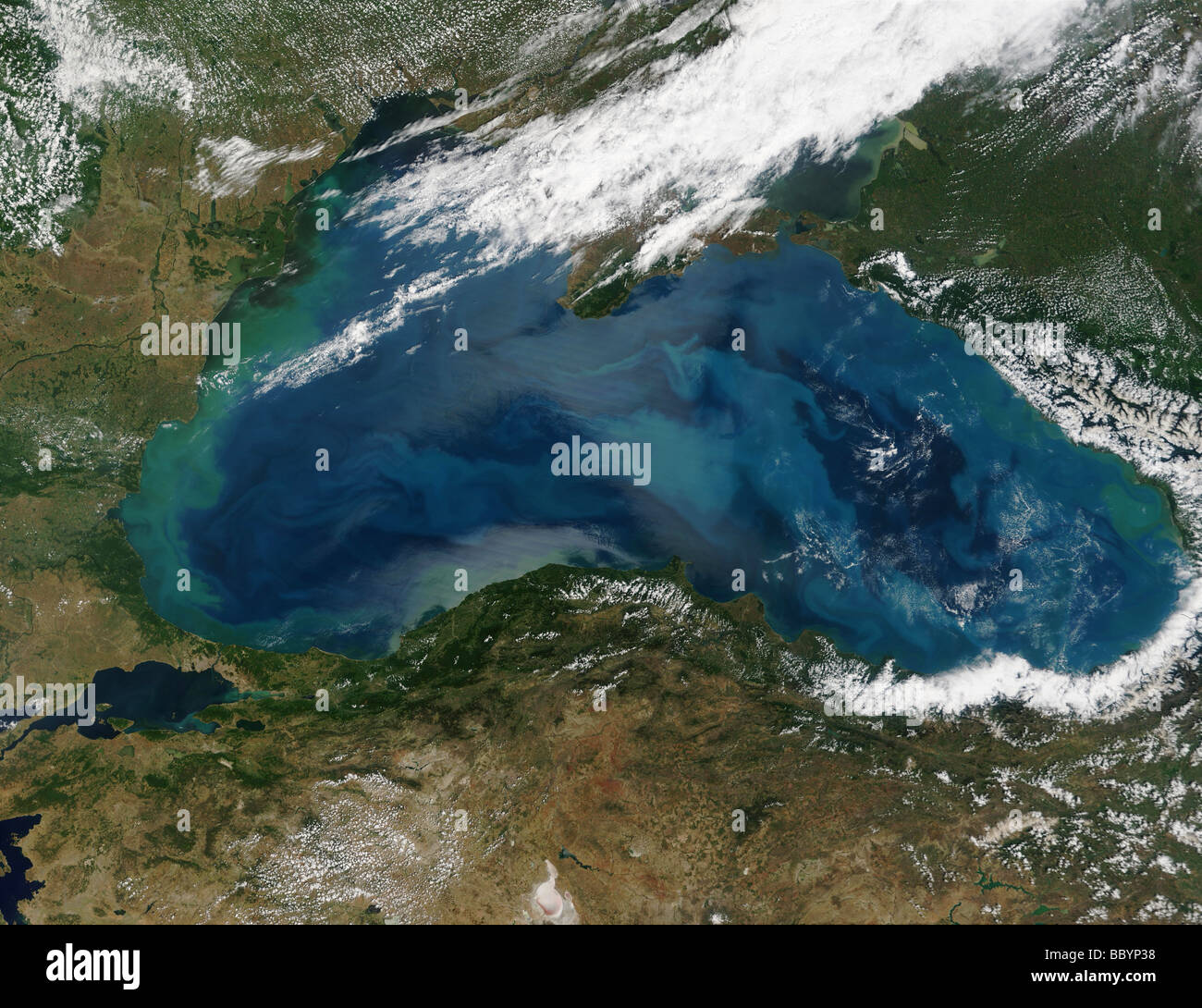 Satellite view of Phytoplankton organisms in 'bloom', Black Sea  Russia Stock Photo