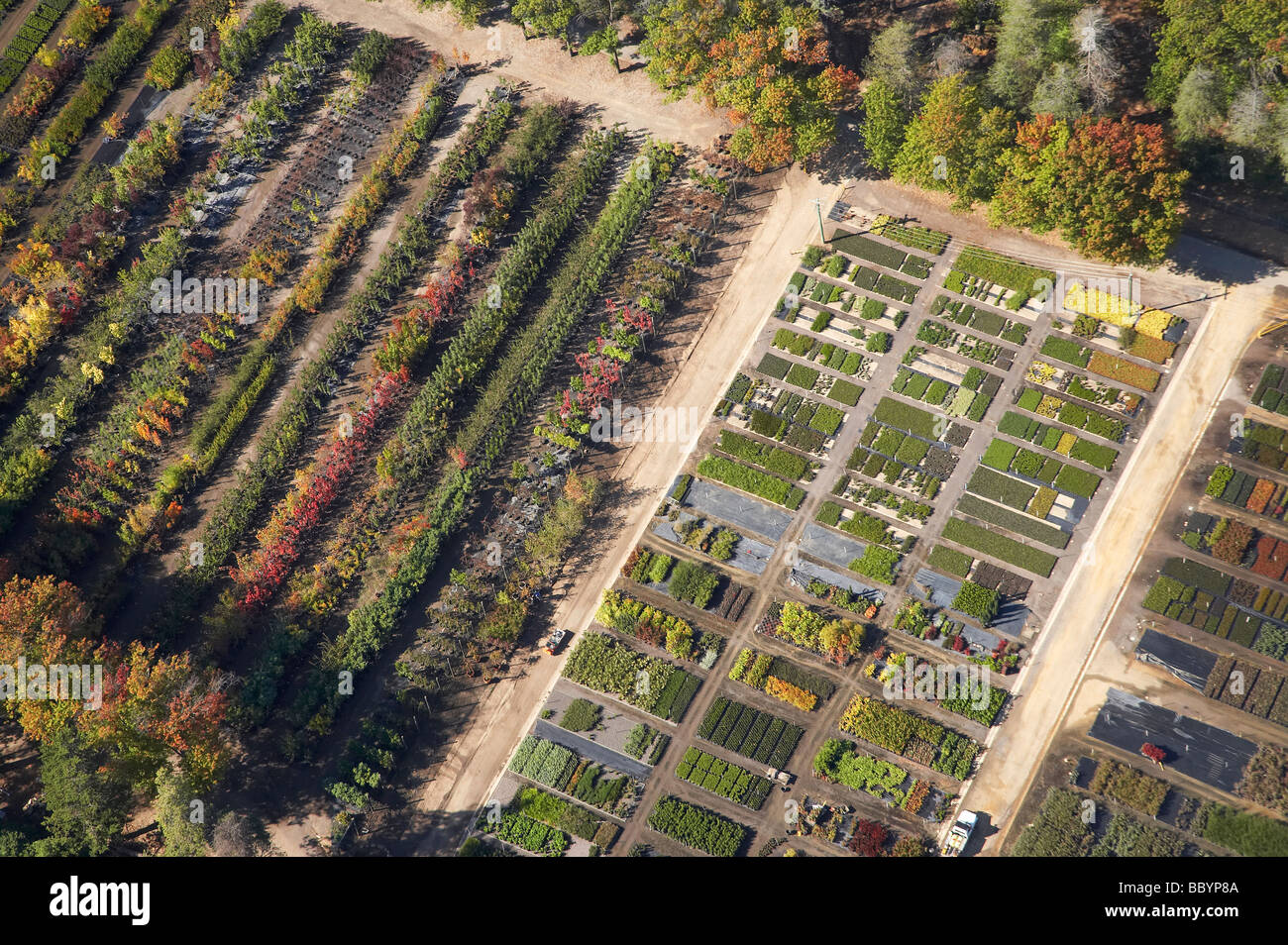 Yarralumla Nursery Weston Park Yarralumla Canberra ACT Australia aerial Stock Photo Alamy